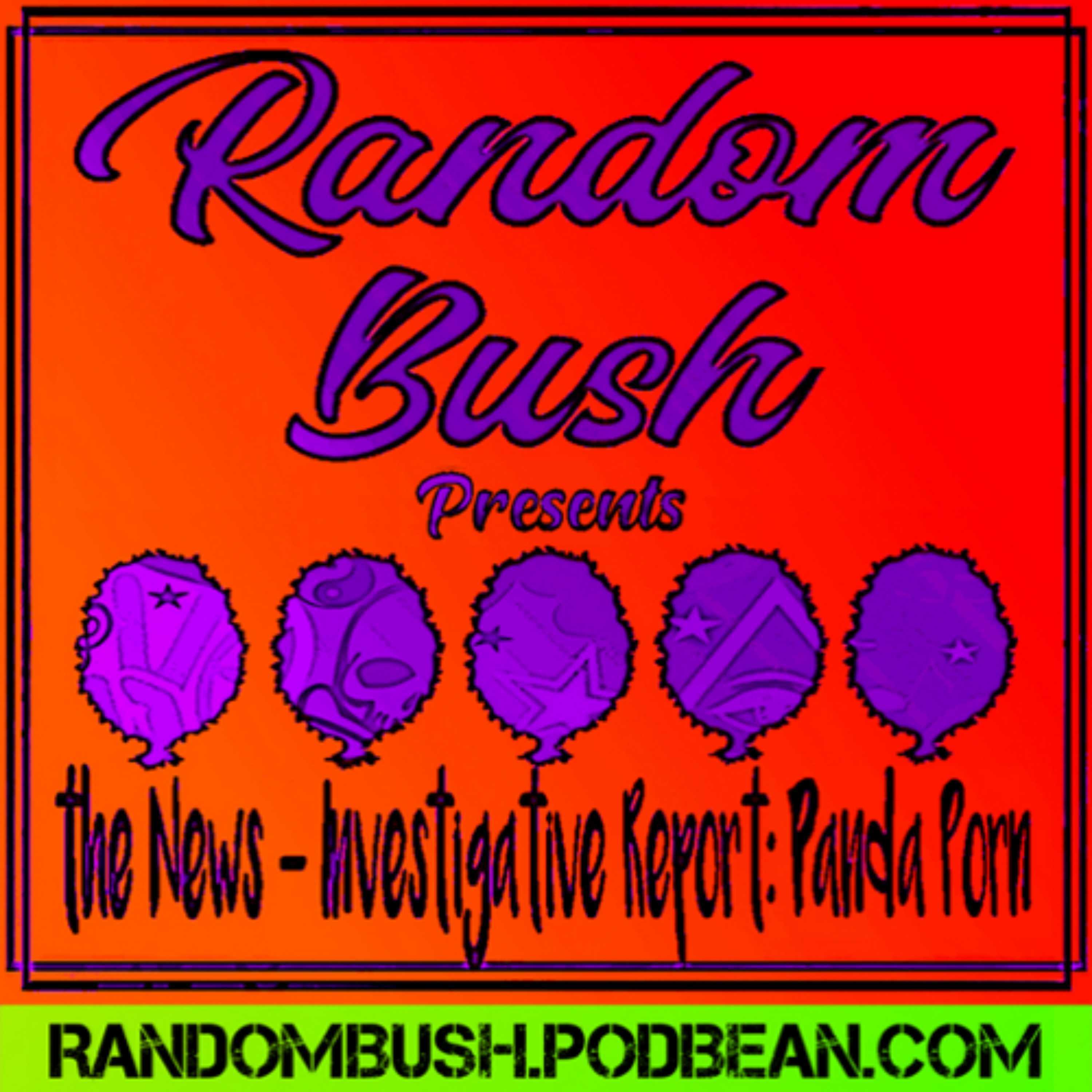 RandomBush Presents - the News: Investigative Report Panda Porn